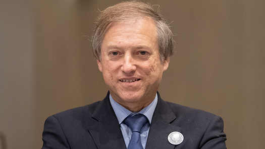 Prof. Doutor Rui Tato Marinho