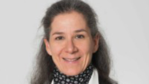 Prof.ª Doutora Filipa Palha