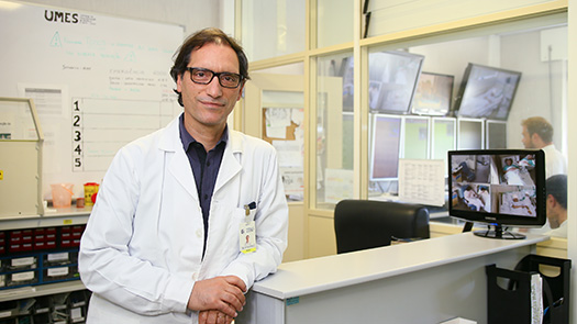 Dr. Francisco Sales Dr. Francisco Sales