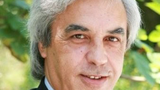 Prof. Doutor Luís Martins Prof. Doutor Luís Martins